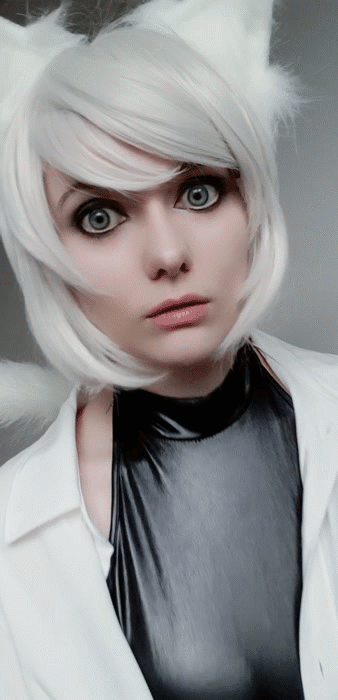 whiteneko_50cef9c7b32cbef6b.gif